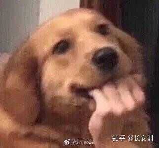 有没有什么适合女生用的沙雕头像?