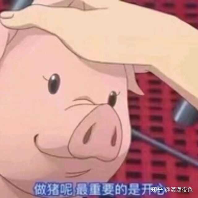 有哪些可爱又不失搞笑的头像?