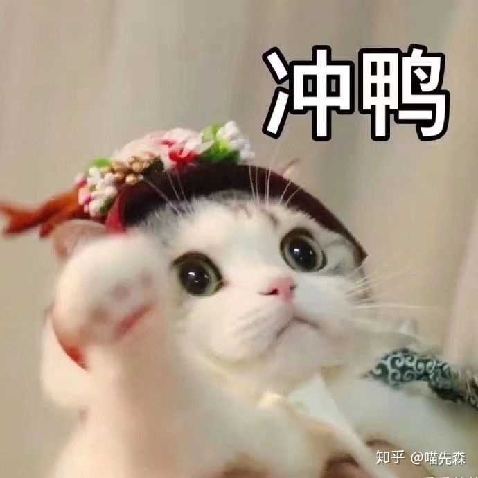 冲鸭