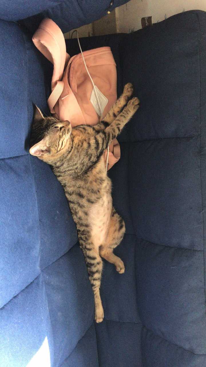 迷人睡姿