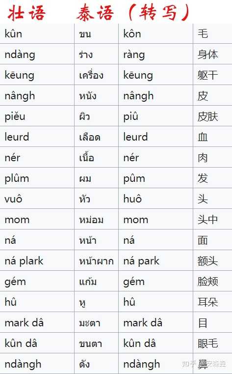 壮语和泰语的对比.