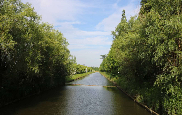 横沙岛