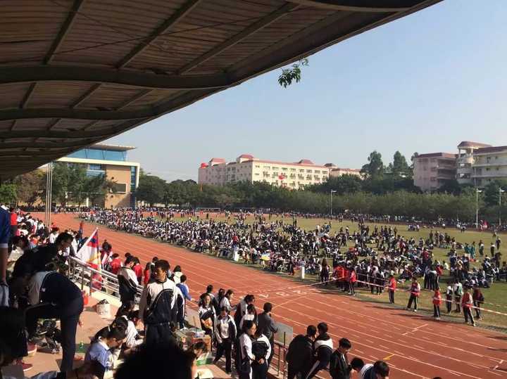在深圳市松岗中学就读是怎样一番体验?