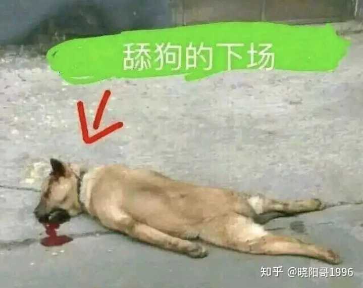 你手机里有哪些舔狗视频?