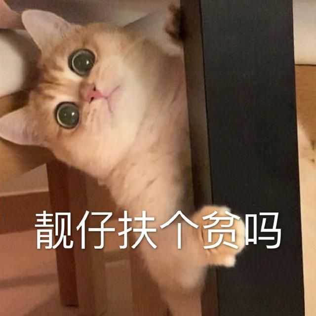 男生老是用可爱的表情包,女生会怎么想?