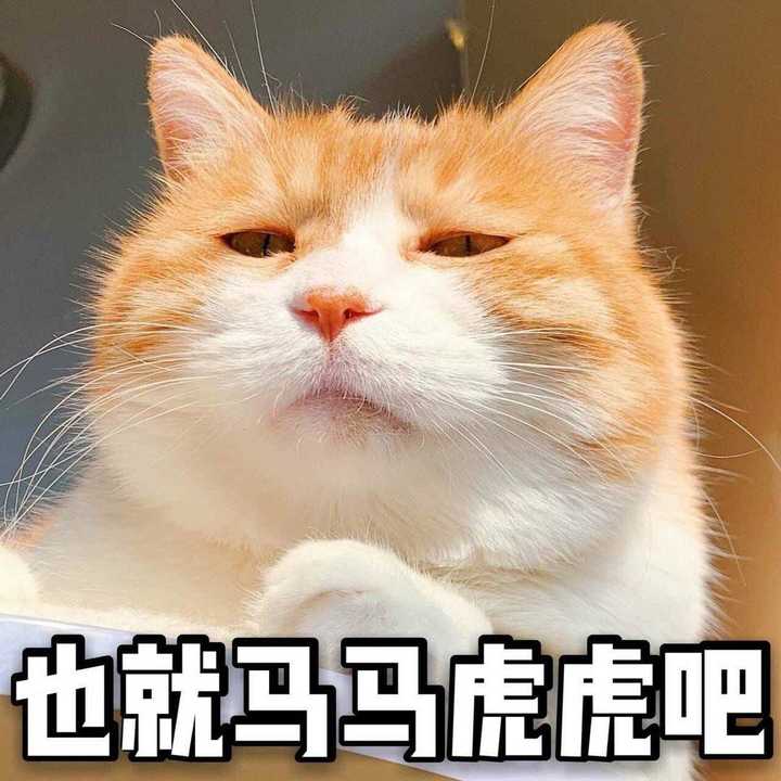 有什么笑到头掉的表情包?
