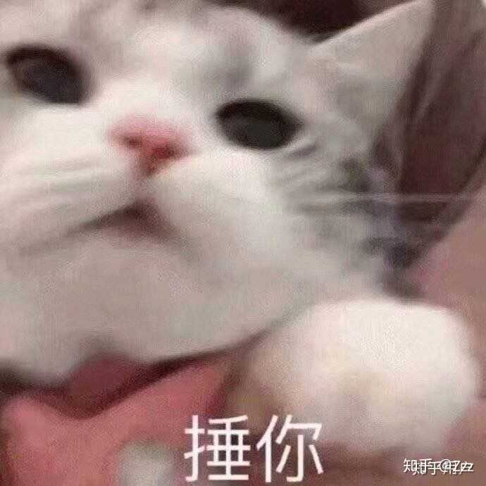 有那些撩男朋友的斗图?