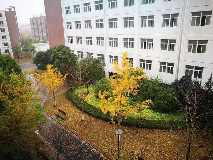 在贴吧微博上找关于南京林业大学淮安校区有人觉得就是老本三改个名字