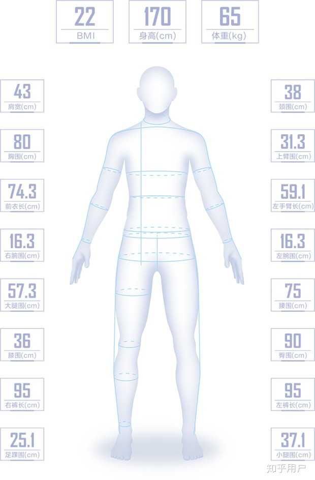 怎么样简单,快速,准确 测量人的身高体重,最好是还有三围?
