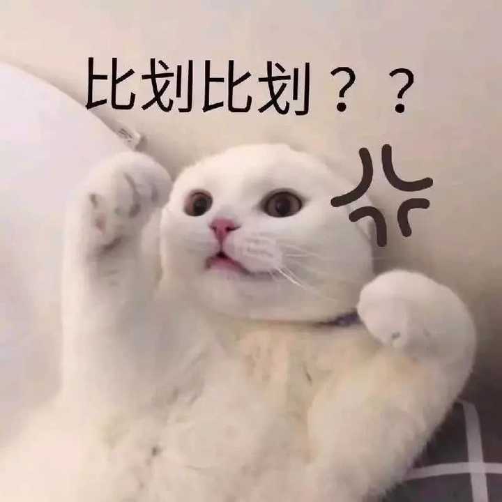 有没有给女朋友发的表情包?