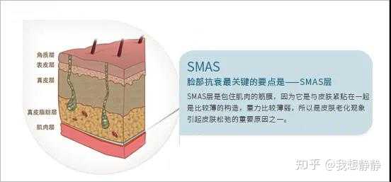 smas筋膜层又称面部浅表肌肉腱膜系统,是皮肤松弛与皱纹产生的原因