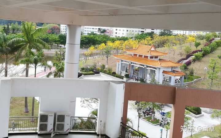 惠州学院的校园环境如何