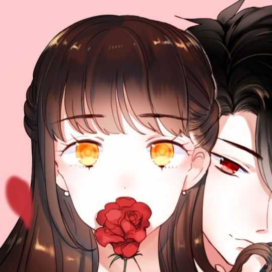 《朝花惜时》——安可乐