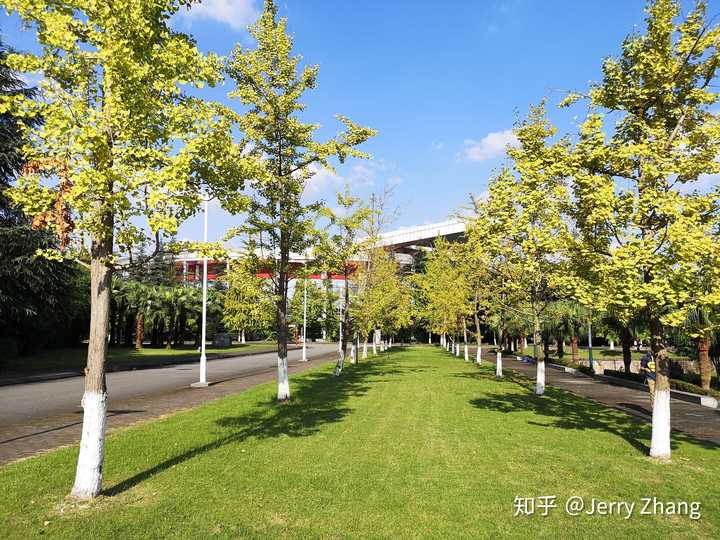 可以分享一下你们的大学校园照片吗?