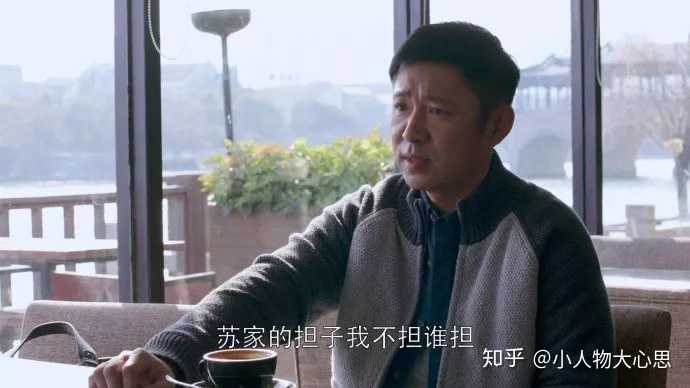 如何评价电视剧《都挺好》长子苏明哲?