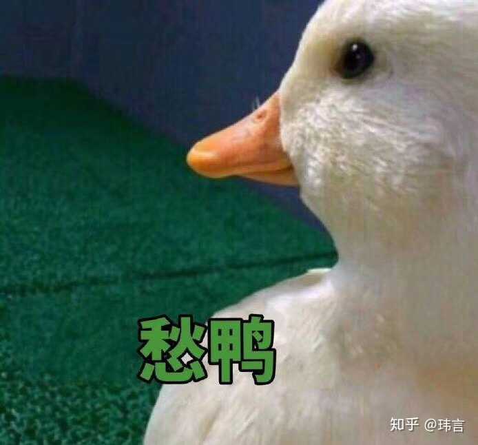这两天在招聘网站上已经快看瞎了,深深的无力感.