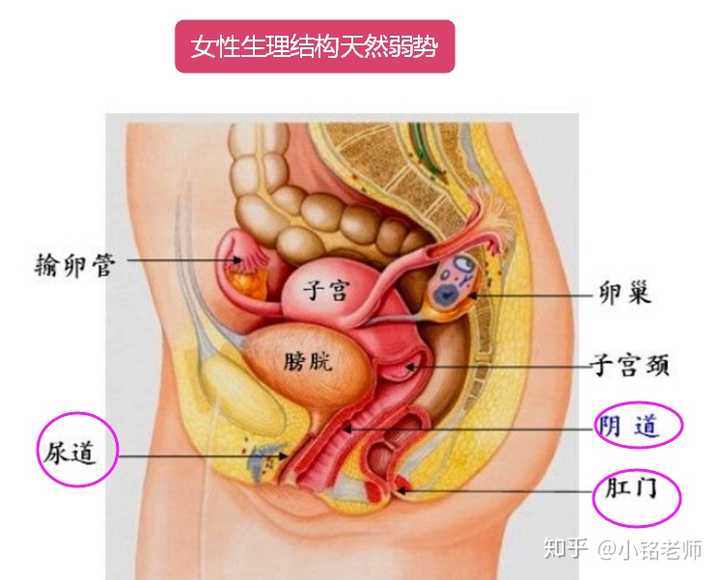 首先跟女性生理结构的弱势有关系.