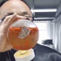 有没有有关朱一旦的枯燥生活的表情包