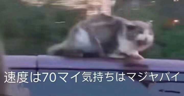 速度是七十迈心情是?