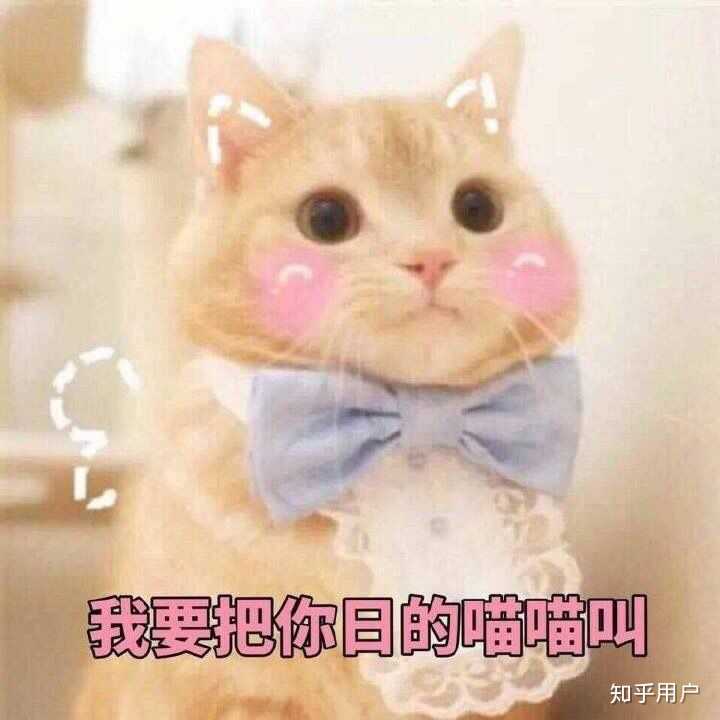 说什么话可以哄女朋友起床?