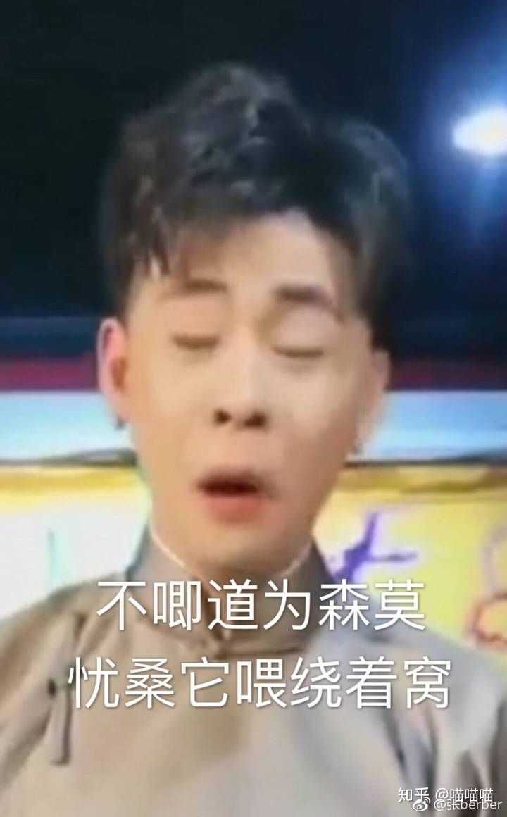 大家有哪些德云社的表情包