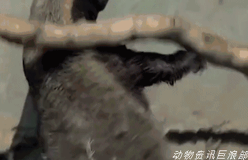 对金融交易员来说最有害的理念是什么?