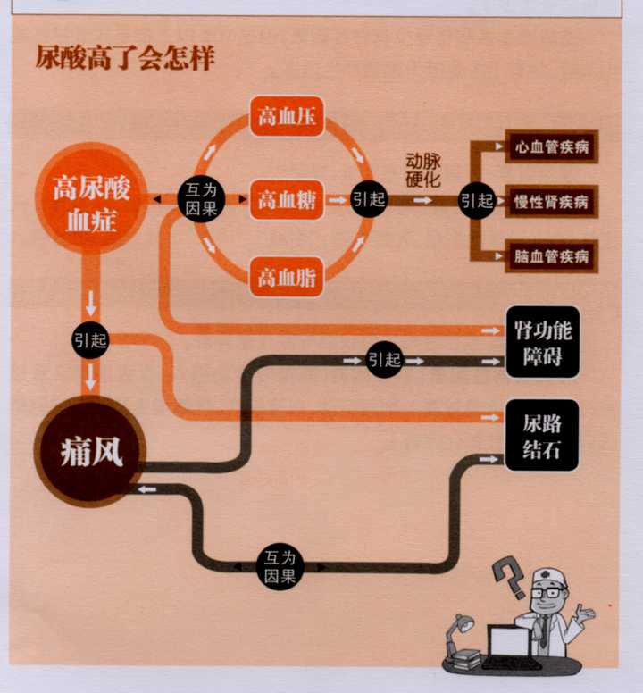 尿酸偏高为啥要避牛羊肉?