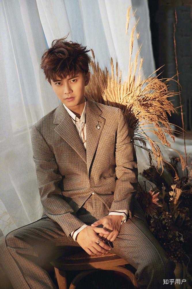 如何评价任嘉伦的长相?