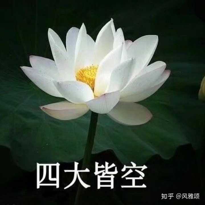 当我换上四大皆空的头像时,也有一堆长辈问我咋四大皆空了!