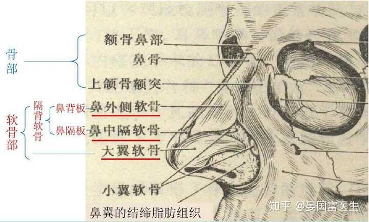 戴口罩会把鼻子压垮吗?