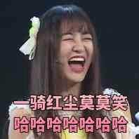 是塞纳河表情包的御三家! 莫莫!大哥!和表情包疯狂输出的踢踢崽!