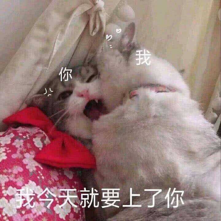 表情包博主##糍粑不包邮# 010 撩妹(汉)的甜甜表情包