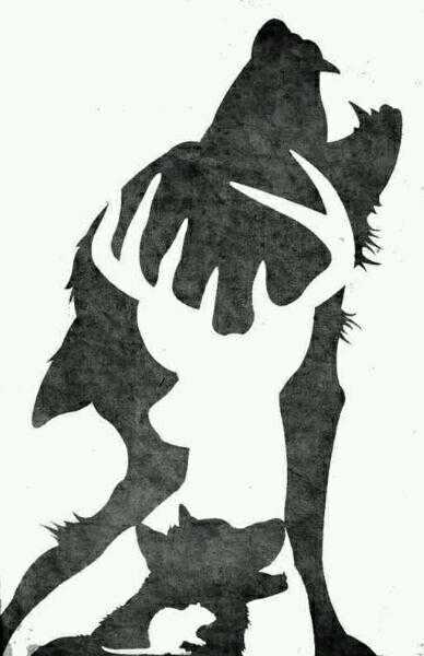 有哪些你珍藏多年的哈利波特图片?