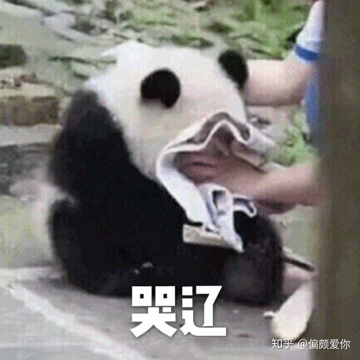 有那些让人捧腹大笑的表情包?