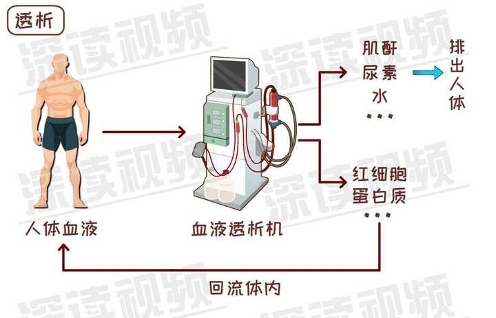 尿毒症一般能活多久,有治愈的可能性吗?