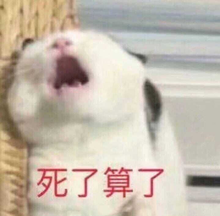 有哪些适合情侣间聊天使用的表情包?