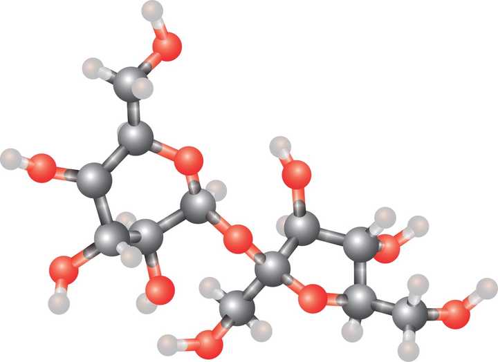 双糖分子结构(乳糖和蔗糖),图片来自wiki