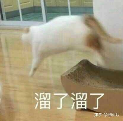 有没有能怼死人的表情包?谢谢各位大佬们!