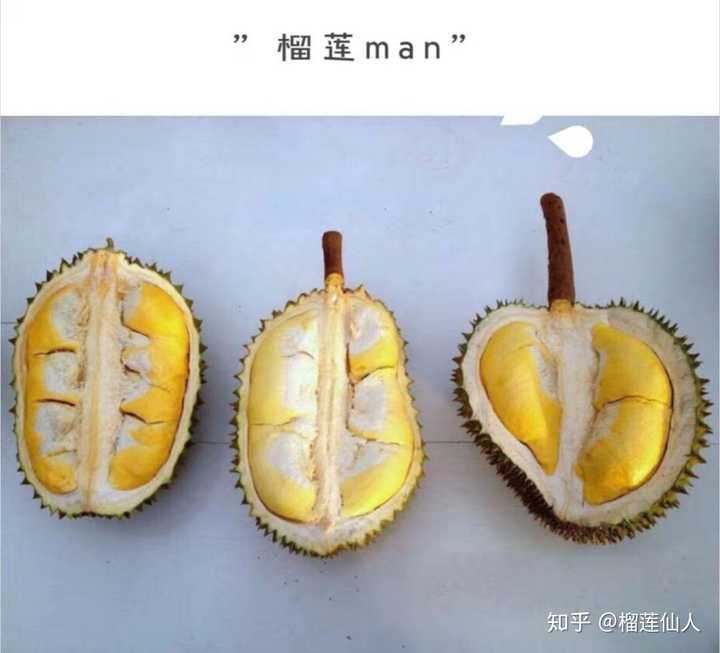 榴莲品种介绍正篇开始