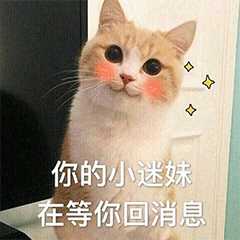 有什么好看的言情小说推荐吗