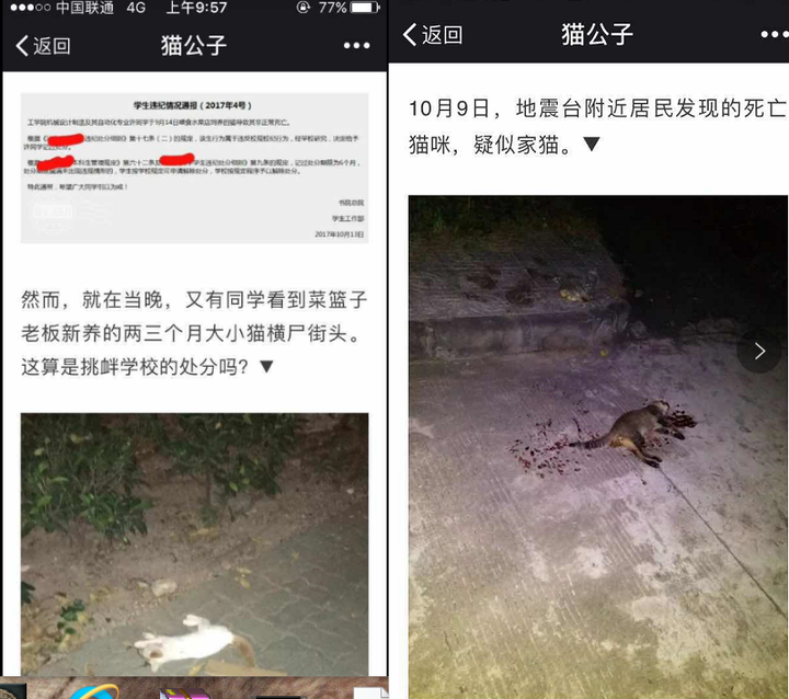 汕大学子杀猫事件是否属实是否有阻止方法如何看待此人