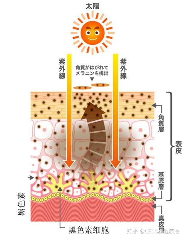 女生皮肤白是一种什么样的体验?