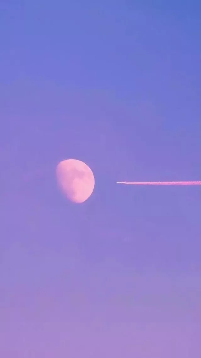 求一波紫色系的壁纸?