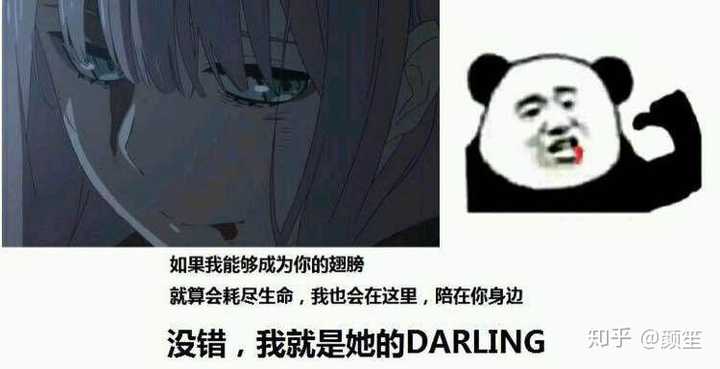 有什么02的表情包分享一下?