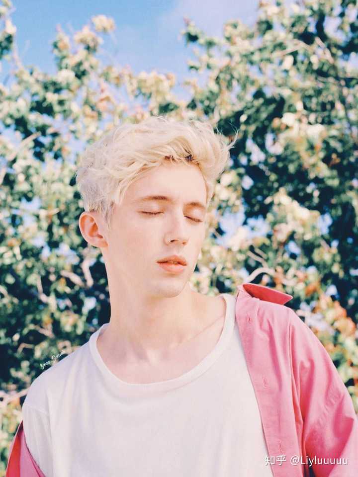 troye sivan 戳爷的my my my,youth, animals,1999, bloom,good side