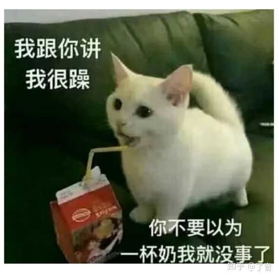 可认怂