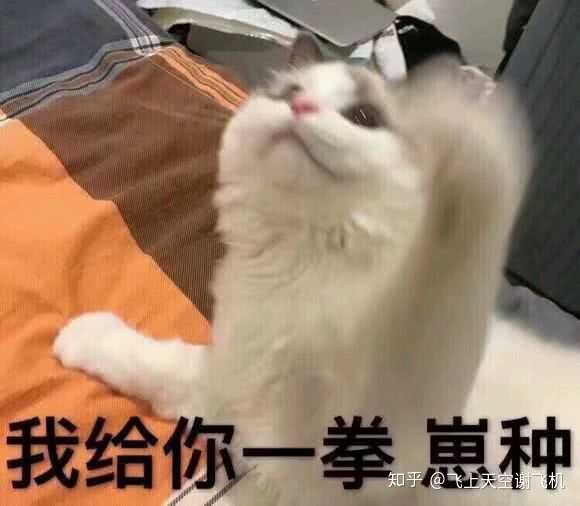 你tm哭三百六十六天,你个小孩子比程序员加班都努力,我真想大嘴巴子抽