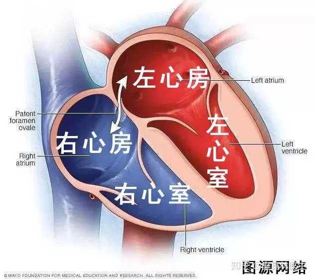 有先天性心脏病是一种什么样的感受?