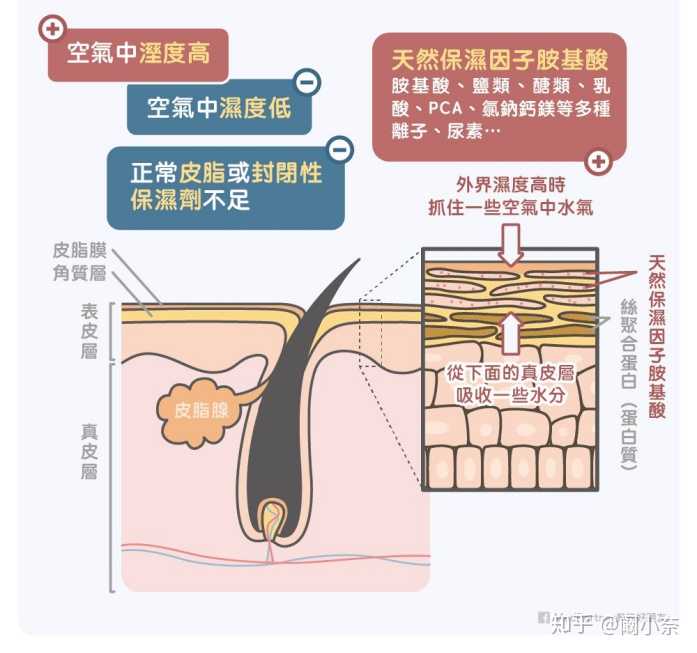 过度清洁导致的角质层受损怎么恢复?