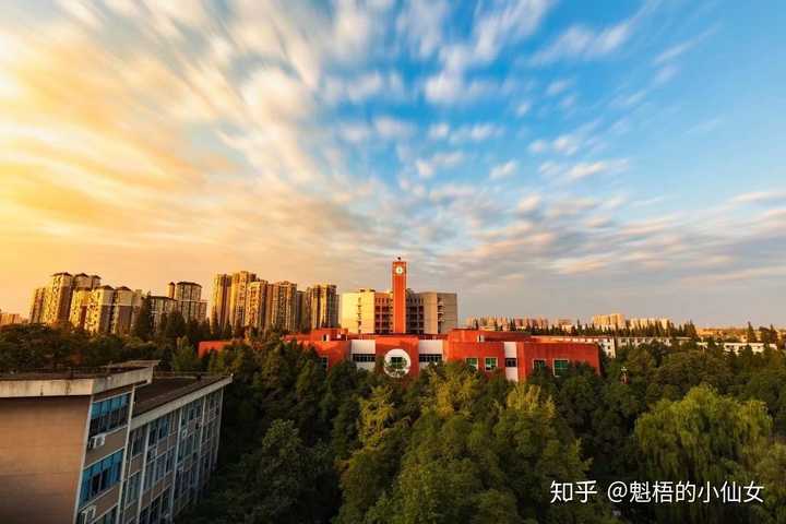 西华大学的校园环境如何?